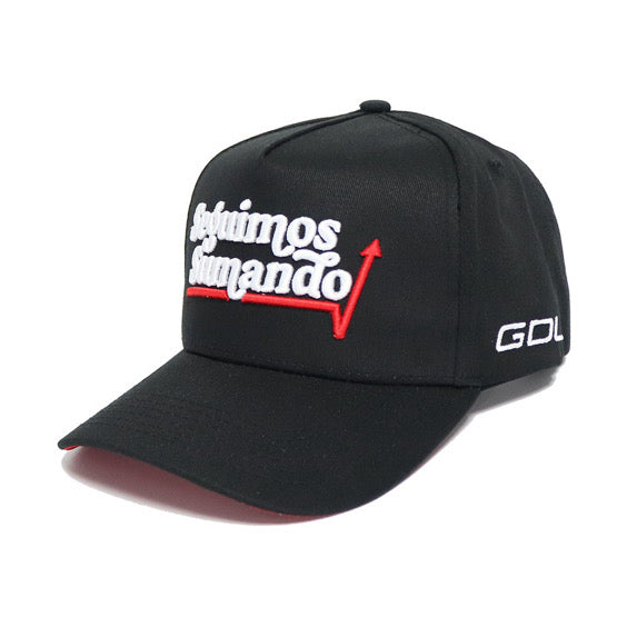 Seguimos Sumando - GDL CAPS