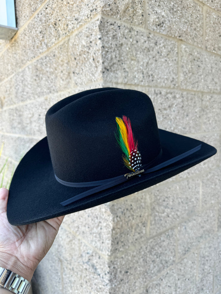 Twinstone 4x BLK Felt Hat Horma Sinaloa (Copa Chica Falda/Brim 3.5")