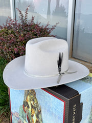 Stetson 6x Rancher Silver Grey Cowboy Felt Hat Sinaloa (Copa Alta Falda/Brim 3.5")