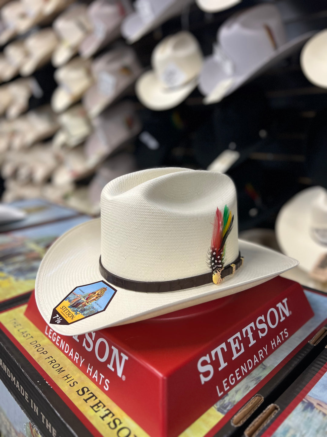 Stetson Evilla De Oro 1000x Brim Falda 3.5 Straw Cowboy Hat Guadalajara Western Wear